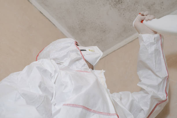 Best Crawl Space Mold Removal  in Mount Carroll, IL