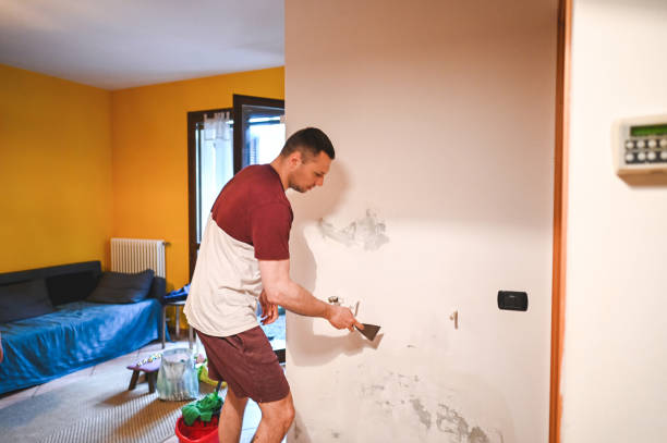 Trusted Mount Carroll, IL Mold Removal Experts